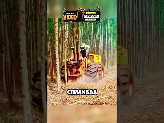 ЖЕСТЬ! ВЫРУБКА В СИБИРИ С НОВОЙ ТЕХНИКОЙ 