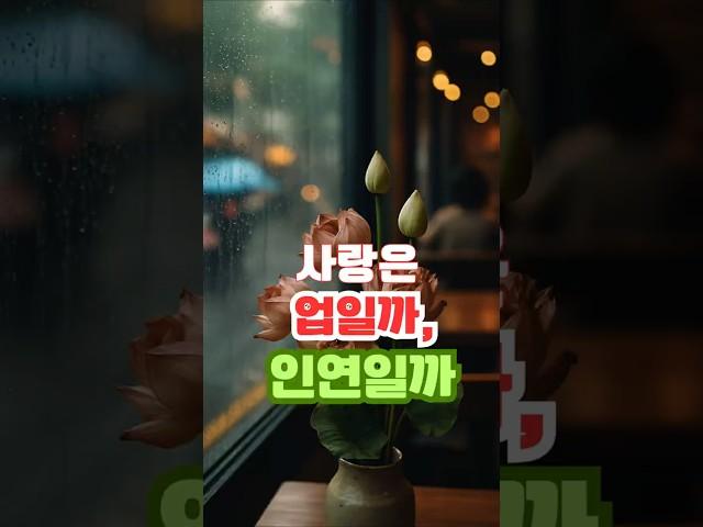 사랑은 업일까, 인연일까? 궁금하다면 클릭 #하루의성찰 #명언 #긍정적마인드 #잼공스토리 #긍정의말 #좋은글 #자기수행 #동기부여 #지혜 #인생조언 #철학 #인연 #사랑 #전생