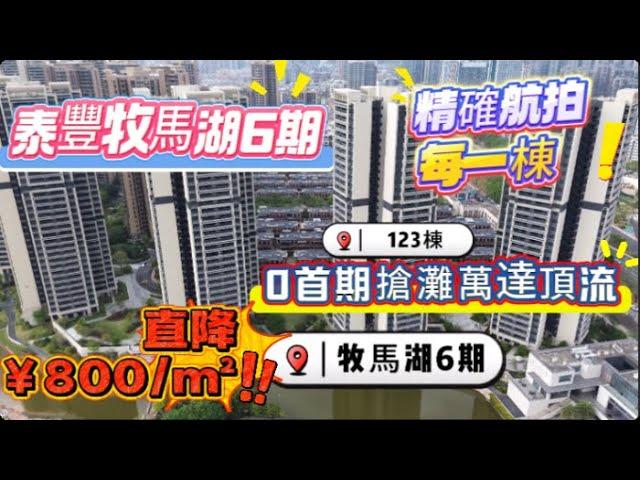 【直擊降價現場】連續3年銷冠牧馬湖6期直降800！｜稀缺湖景109方4房航拍戶型全解析！｜週末賣咗幾多套？乜樓棟朝向性價比最高？｜0首期抄底時刻！ #大亞灣 #牧馬湖 #萬達廣場