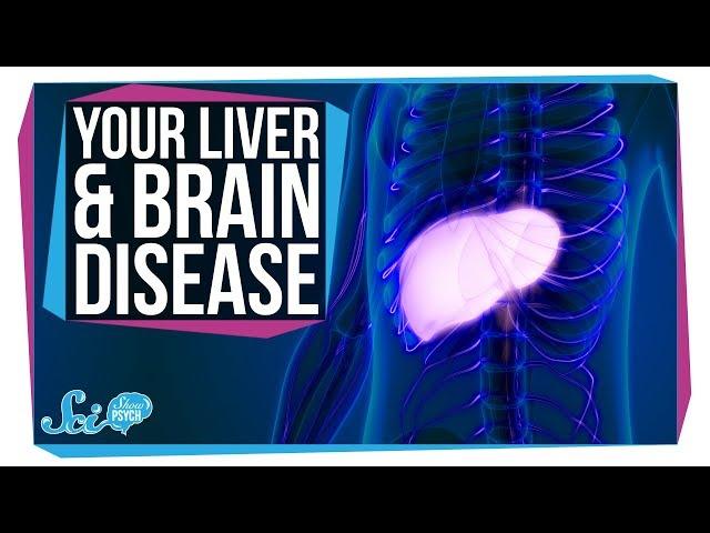 How Liver Problems Can Lead to Brain Disease