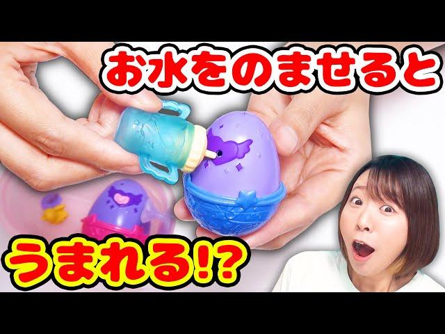 なんでこれ産まれるの!? お水でパリッ！ニョキッ！と生まれてくる卵のサプライズトイがすごかった！！【海外】