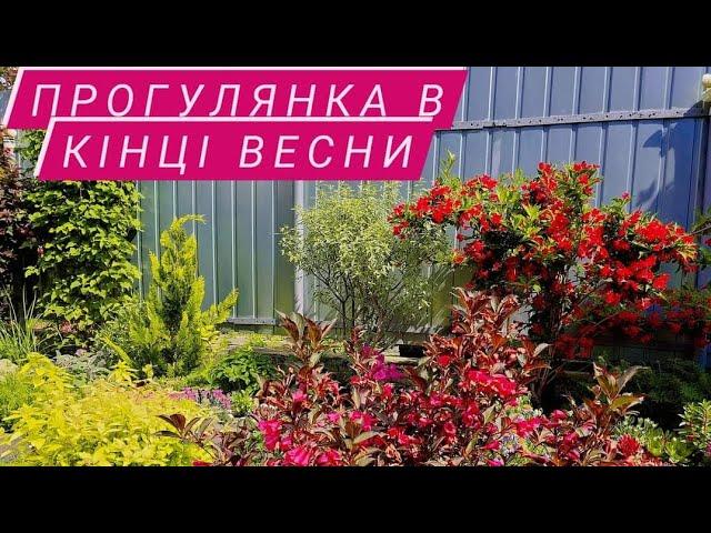 Сад квітує, пройшов дощик. Мої нові переробки в кінці відео.