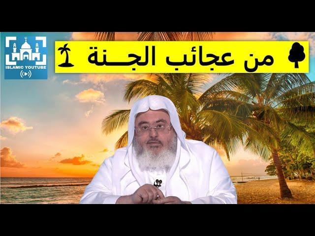 من عجائب الجــنة  خطبة مباركة للشيخ  صالح المنجد  فك الله أسره