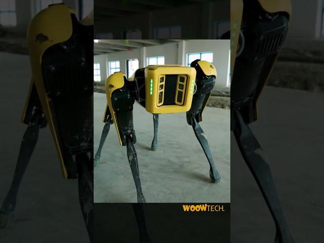 Boston Dynamics Builds Robotic Dogs