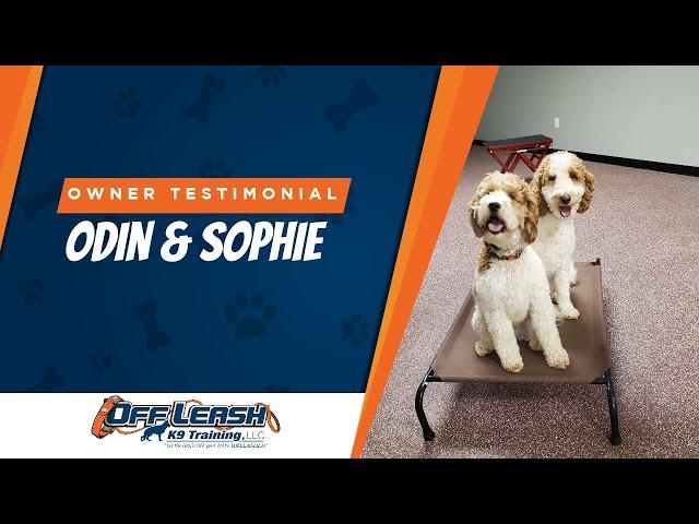 Transforming Lives: Blind Dog Sophie & Odin's Journey with Off Leash K9 Training