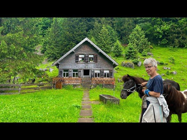 Life in a Swiss Alpine village | Heavy rain fell while cows were grazing outside the farm!!