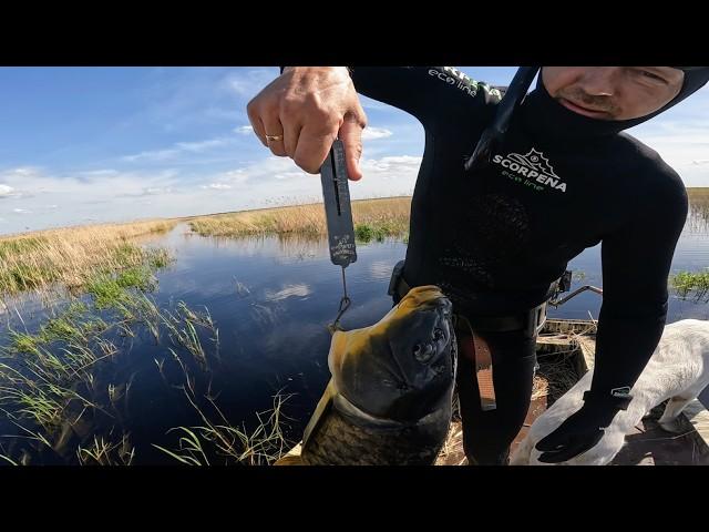 Spearfishing for carp or spider lift fishing. Spider fishing in Siberia. Fishing in 2025.