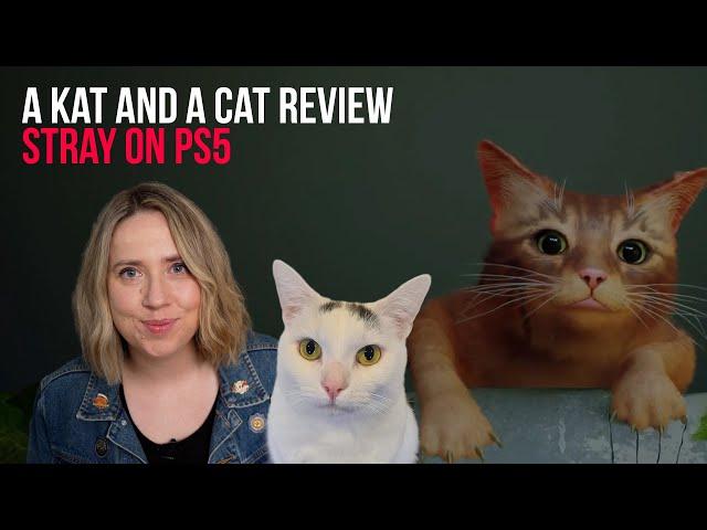 A Kat and a Cat review Stray on PS5