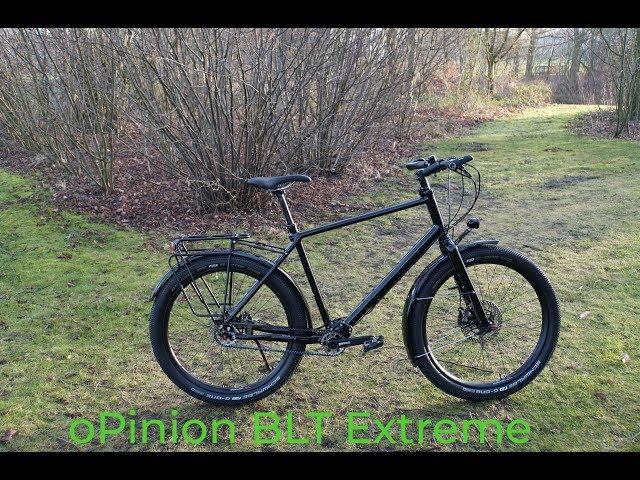 idworx opinion blt extreme