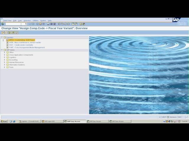 SAP Basic settings till GL posting - Live demo in the system