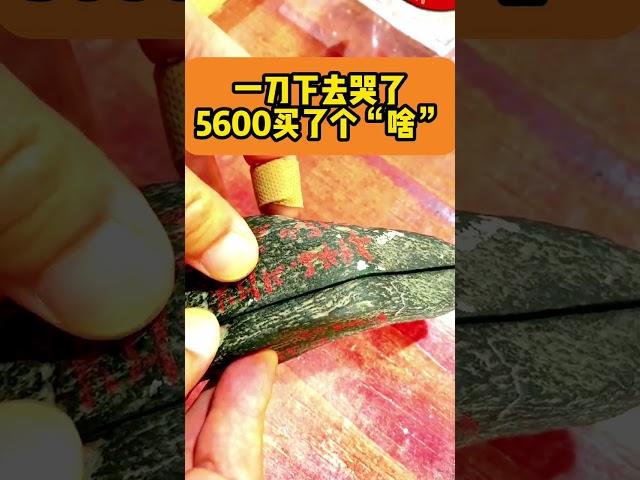 一刀下去哭了，5600买了个“啥”#翡翠