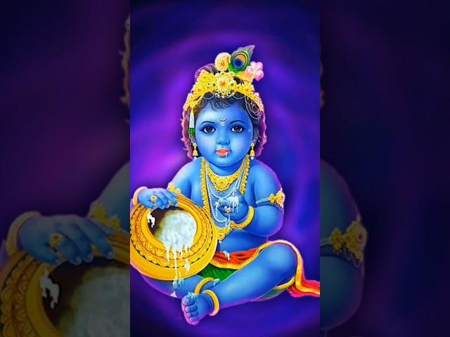 Kanna ji#harekrishnamusic #dance #iskcontemplesongs #festival #iskcontemplebhajans #peace #yadav