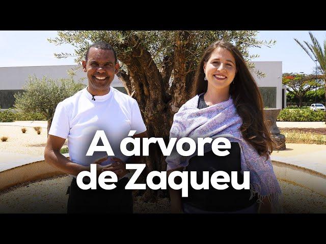 A árvore de Zaqueu com Rodrigo Silva e Aline Szewkies