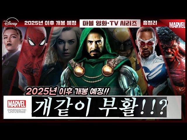 2025년 이후! 개봉 예정 《마블 시네마틱 유니버스》 모든 영화 & 드라마 완벽 총정리  개봉 전 정보  (4K)