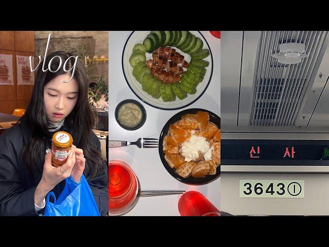 eng) VLOG | Fussy Seoul Travel | Garosu-gil | Apgujeong Rodeo | Select Shop | Brunch