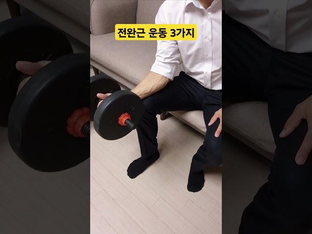 전완근 운동 3가지