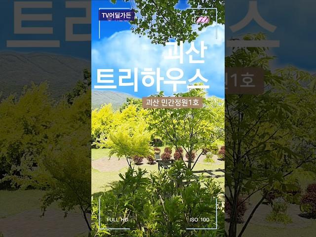 #괴산트리하우스 #임영웅 #tv어딜가든  #6월의정원