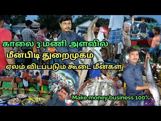 Cuddalore ot harbour in tamilnadu//fish market ot//make money business ideas//meenpidi thuraimugam