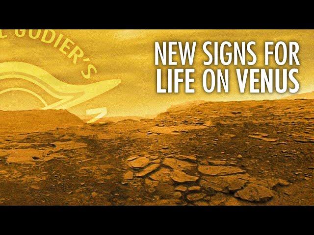 Signs For a Strange Type of Life on Venus with Dr. Janusz Petkowski