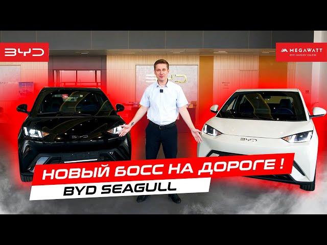 Новый БОСС на дороге! BYD SEAGULL