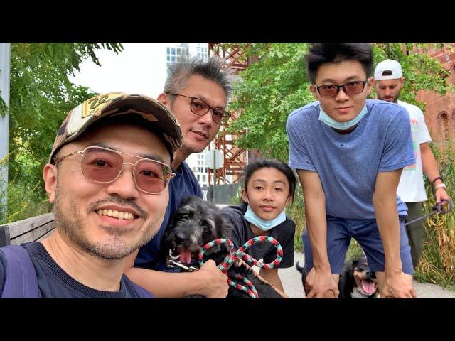 遛狗到曼哈頓｜Williamsburg Bridge｜Domino Park｜男生宿舍