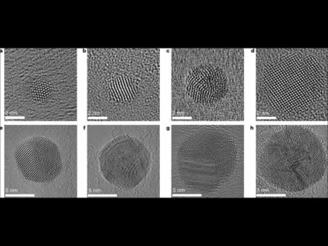 Quantum Project: Electron Microscopy