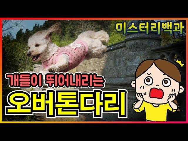 오버톤 다리(Overtoun Bridge) [미스터리백과][미확인이야기]