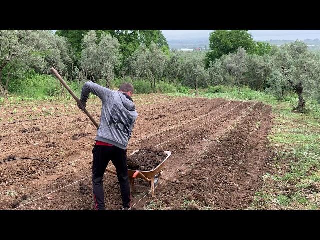 Yeni Bahçe ve Bahçe Yatakları