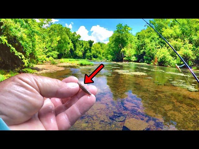 This Tiny Bait Is Simply Amazing For Panfish Fishing!