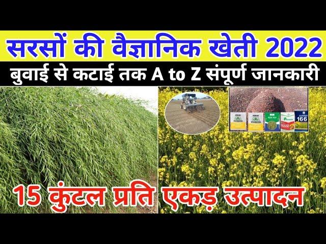 सरसों की वैज्ञानिक खेती 2022 A to Z पूरी जानकारी / Mustard Farming In hindi / सरसों की उन्नत खेती