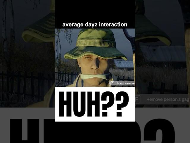 AVERAGE DAYZ INTERACTION