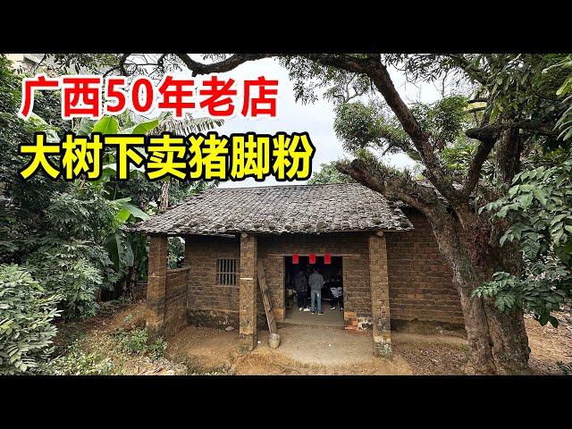 广西贵港神店，农村大树下猪脚粉，9元一碗不挂招牌隐藏村口50年【麦总去哪吃】