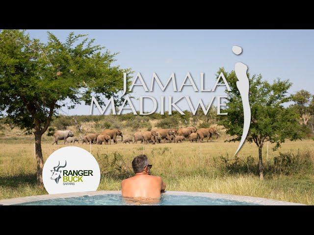 An Intimate Safari Experience - Jamala Madikwe