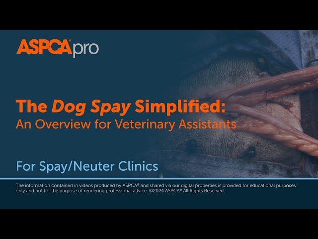 Spay/Neuter Surgery: The Dog Spay Simplified - An Overview for Veterinary Assistants