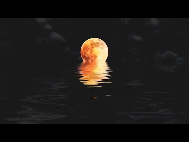 Deep Sleep Music ︎ Stronger Immune System ︎ Relaxing Music for Sleeping & Meditation