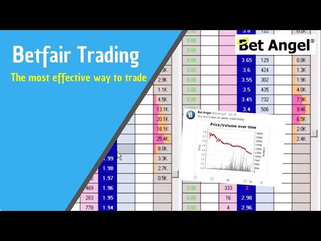 Betfair trading | The most effective way to trade | Cold trading / Trading order flow