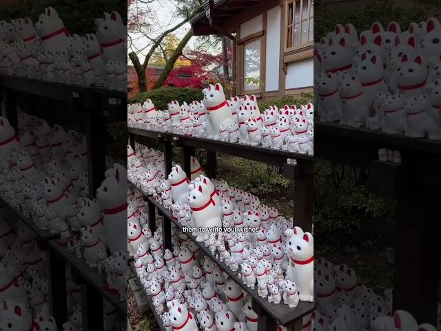 gotokuji temple in tokyo, japan 