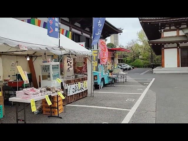 Travel Vlog #  The ZOJO- JI BUDDHIST TEMPLE in Tokyo Japan