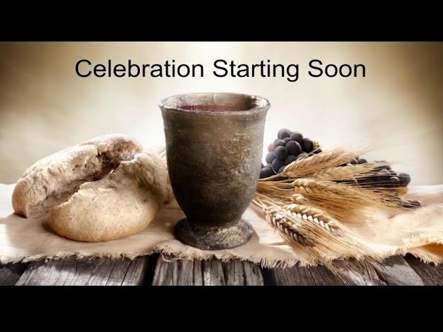 St. John Brebeuf Parish Live Stream