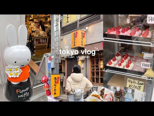 japan vlog  autumn in tokyo, asakusa sensoji temple, flower miffy, ginza, shopping streets, udon