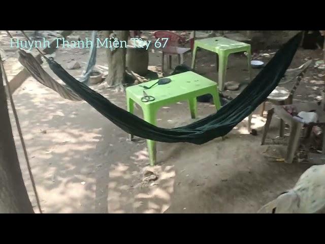 Chăn nuôi gà sợ nhất bệnh tụ huyết trùng và dịch tả