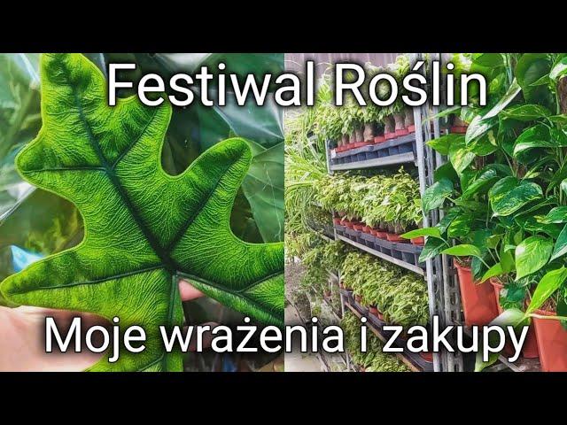 Festiwal Roślin- warto, czy nie? Moje wrażenia i zakupy