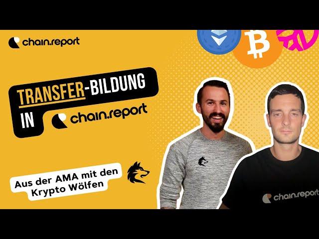 Transfer-Bildung in chain.report