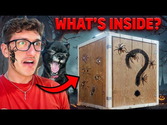 PUDDIN GOT ME A SPOOKY MYSTERY BOX!!