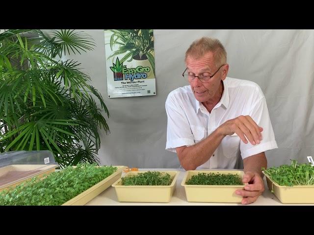 Beginners Guide to Growing Microgreens