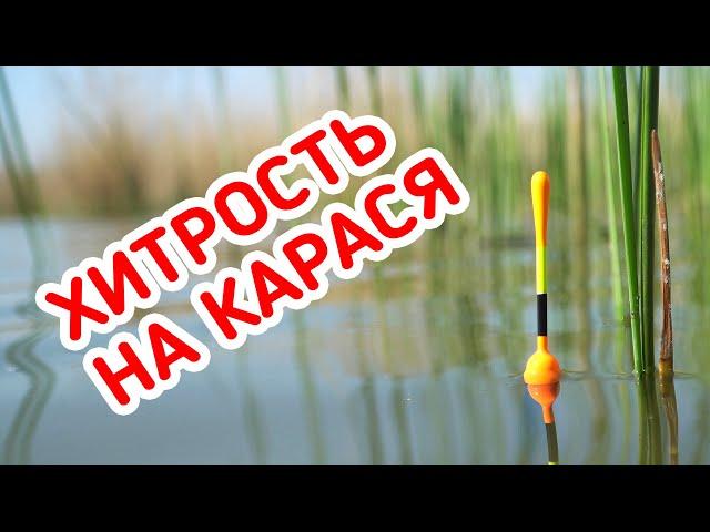 ХИТРЫЕ КАПЛИ на КАРАСЯ. Рыбалка на поплавок в диком заливе.