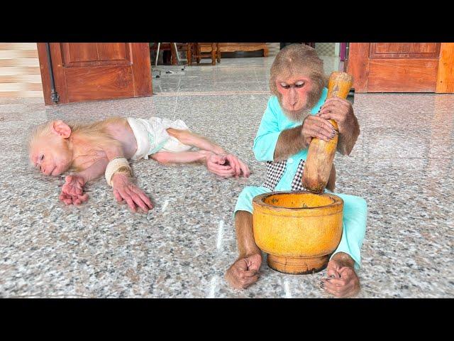Smart Cutis takes care of baby monkey special way