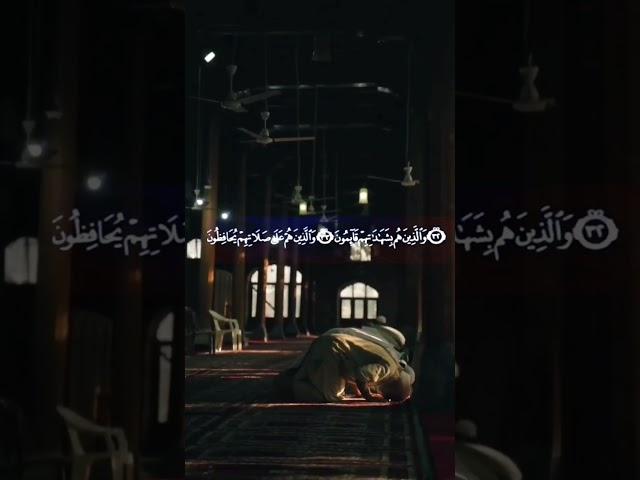 مزمار من مزامير داود عليه السلام بصوت القارئ الصغير مشاري البكو #قرآن #كل_يوم_سورة #quran