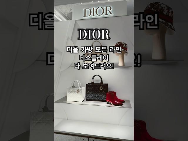 디올 모든 가방 스타일 다 보여드려요! 매혹, 환상 그 자체! #디올가방 #diorbag  #럭셔리브랜드 #명품가방추천 #쇼핑정보