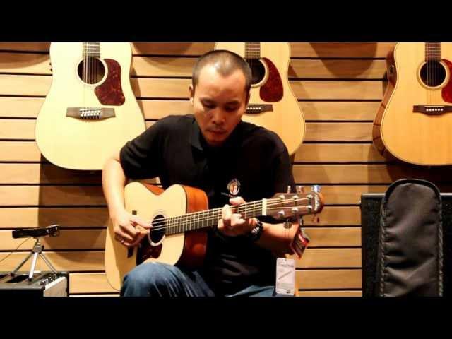 Walden Guitar T550 (Travel Guitars) Review by Acousticthai.Net